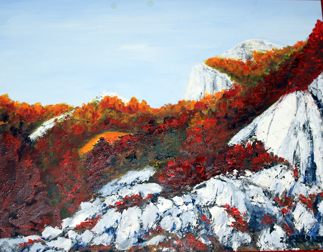 Zvonko Petanović Slavonski Brod